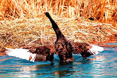 《完蛋 我被美女包围》浩浩妈高清原图 让人大饱眼福