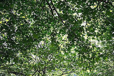 体育游戏《健身拳击》全系列销量突破300万